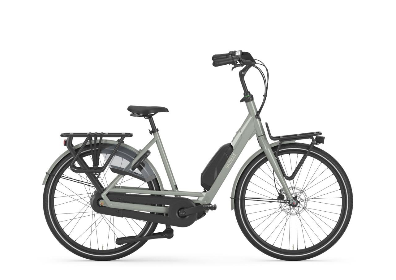 Je bekijkt nu Gazelle Bloom C310