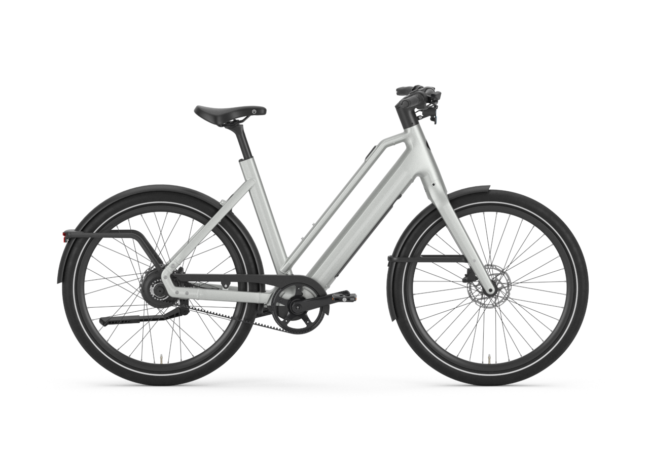 Lees meer over het artikel Gazelle Cayo C310