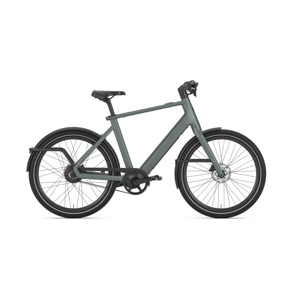 Lees meer over het artikel Gazelle Cayo C310