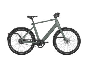 Gazelle-Cayo-C310