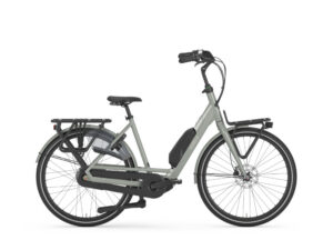 Gazelle Bloom C310